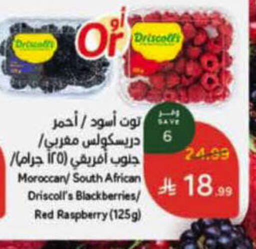 Raspberry from Morocco South Africa available at هايبر بنده in مملكة العربية السعودية, السعودية, سعودية - الرس