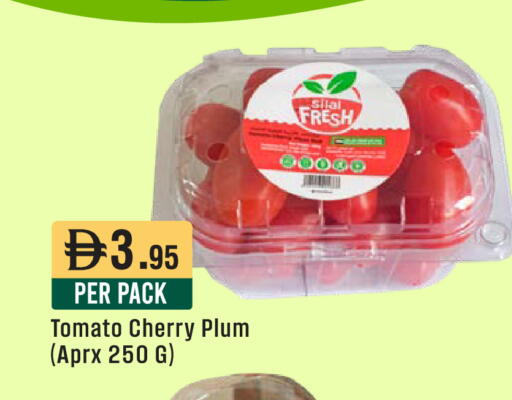 Cherry Plum Tomato available at ويست زون سوبرماركت in الإمارات العربية المتحدة , الامارات - أبو ظبي