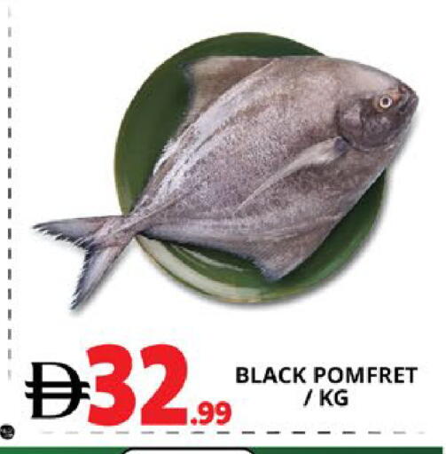 available at اكسبرس المدينة هايبرماركت in الإمارات العربية المتحدة , الامارات - أبو ظبي