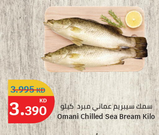 available at سيتي هايبرماركت in الكويت - مدينة الكويت