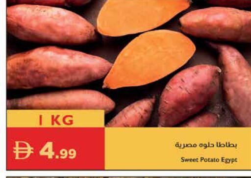 Sweet Potato from Egypt available at إسطنبول سوبرماركت in الإمارات العربية المتحدة , الامارات - رَأْس ٱلْخَيْمَة