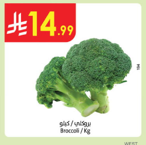 Broccoli available at الدانوب in مملكة العربية السعودية, السعودية, سعودية - المدينة المنورة