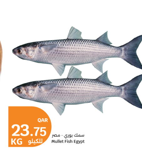 available at سيتي هايبرماركت in قطر - أم صلال