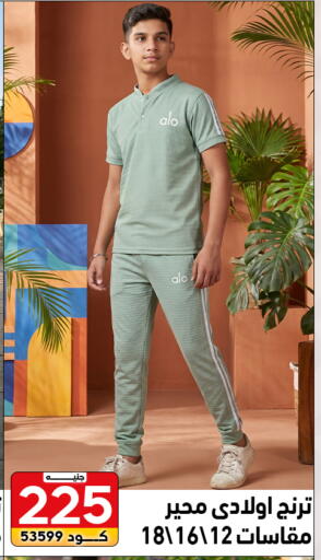available at Center Elzelzal in Egypt - Cairo