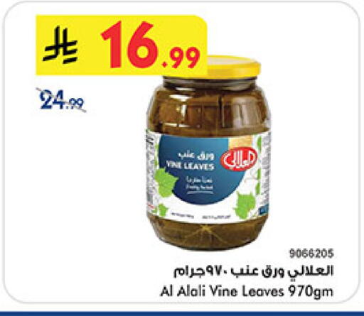 available at بن داود in مملكة العربية السعودية, السعودية, سعودية - المدينة المنورة