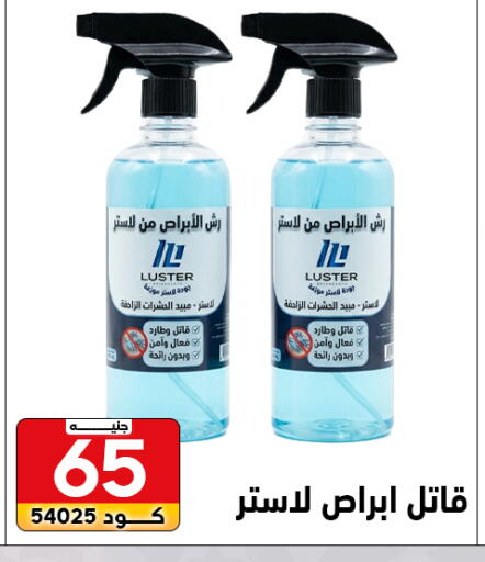 available at Center Elzelzal in Egypt - Cairo