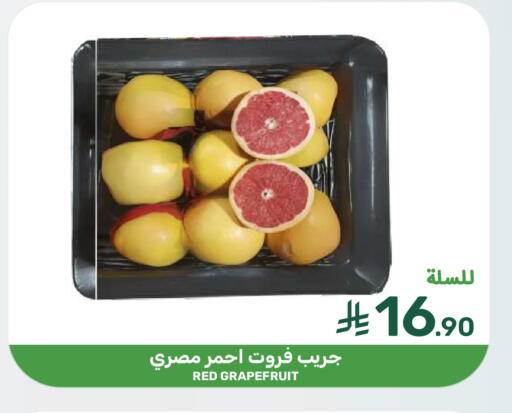 available at  مـزايــا in مملكة العربية السعودية, السعودية, سعودية - سيهات