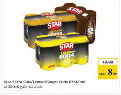 Lemon Ginger available at Nesto Hypermarket in UAE - Abu Dhabi