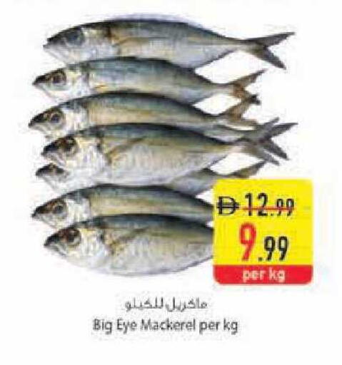 available at السفير ماركت in الإمارات العربية المتحدة , الامارات - أبو ظبي