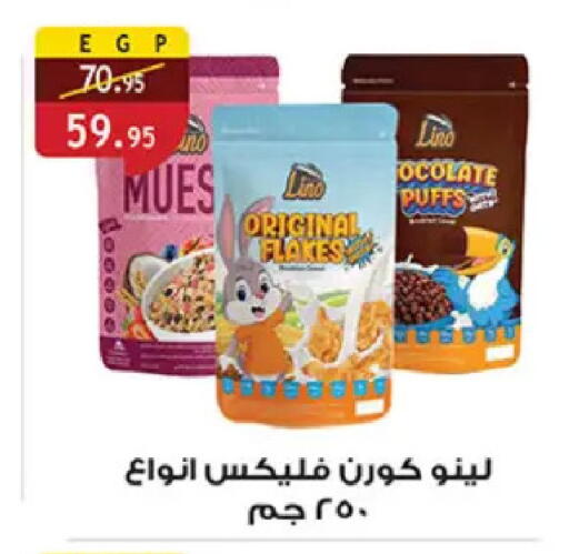 available at Al Rayah Market   in Egypt - Cairo