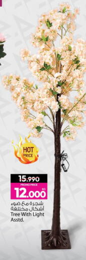 available at أنصار جاليري in البحرين
