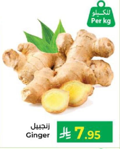 available at كبايان هايبرماركت in مملكة العربية السعودية, السعودية, سعودية - ينبع