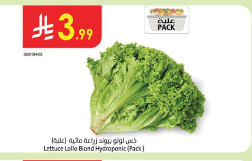 Lettuce available at الدانوب in مملكة العربية السعودية, السعودية, سعودية - الجبيل‎