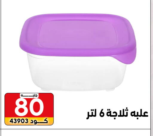 available at Center Elzelzal in Egypt - Cairo