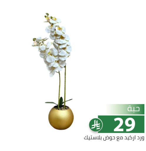available at تخفيضات العائلة in مملكة العربية السعودية, السعودية, سعودية - الرياض