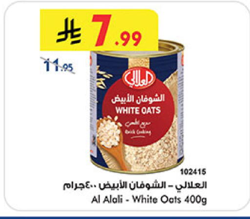 available at بن داود in مملكة العربية السعودية, السعودية, سعودية - المدينة المنورة