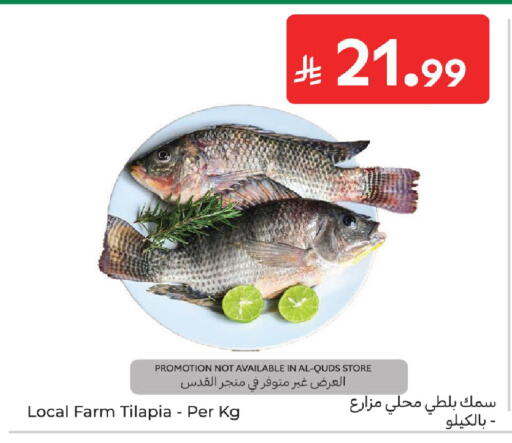 available at كارفور in مملكة العربية السعودية, السعودية, سعودية - المدينة المنورة
