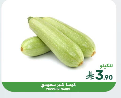Zucchini from Saudi Arabia available at  مـزايــا in مملكة العربية السعودية, السعودية, سعودية - سيهات
