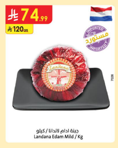 available at Danube in KSA, Saudi Arabia, Saudi - Tabuk