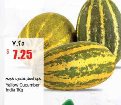 Cucumber from India available at New Indian Supermarket in Qatar - Al Rayyan