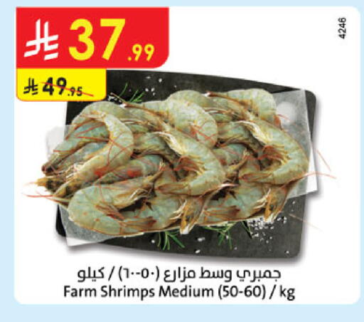 available at الدانوب in مملكة العربية السعودية, السعودية, سعودية - عنيزة