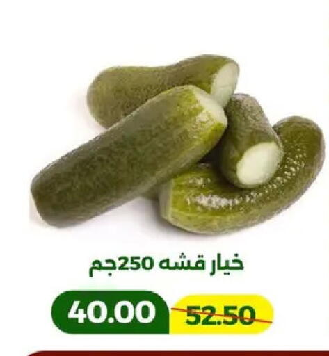 available at جرين تري هايبرماركت - سوهاج in Egypt - القاهرة