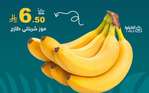 available at أسواق رامز in مملكة العربية السعودية, السعودية, سعودية - المنطقة الشرقية