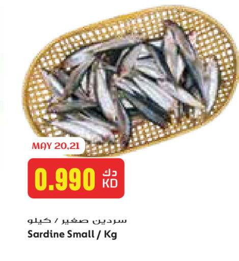 available at جراند كوستو in الكويت - مدينة الكويت