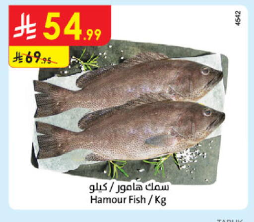 available at Danube in KSA, Saudi Arabia, Saudi - Tabuk
