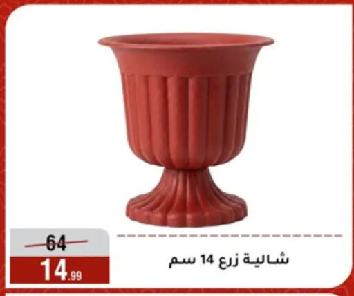 available at Al Morshedy  in Egypt - Cairo