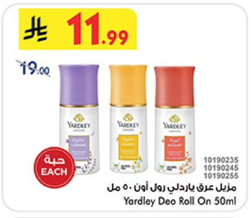 available at بن داود in مملكة العربية السعودية, السعودية, سعودية - المدينة المنورة