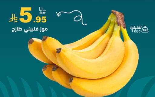 available at أسواق رامز in مملكة العربية السعودية, السعودية, سعودية - المنطقة الشرقية