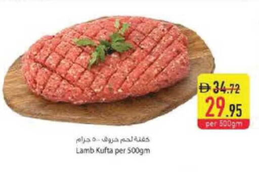 available at السفير ماركت in الإمارات العربية المتحدة , الامارات - أم القيوين‎