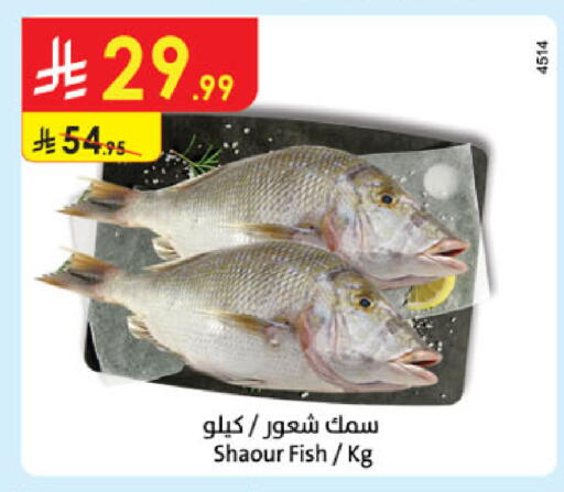 available at الدانوب in مملكة العربية السعودية, السعودية, سعودية - الجبيل‎