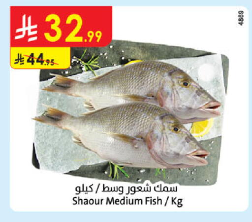 available at Danube in KSA, Saudi Arabia, Saudi - Khamis Mushait