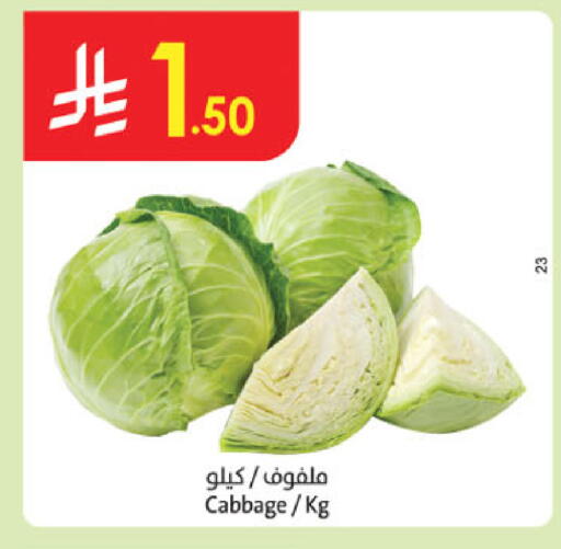 Cabbage available at Danube in KSA, Saudi Arabia, Saudi - Jazan