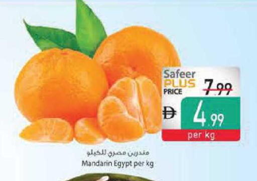 Mandarin from Egypt available at السفير ماركت in الإمارات العربية المتحدة , الامارات - أبو ظبي