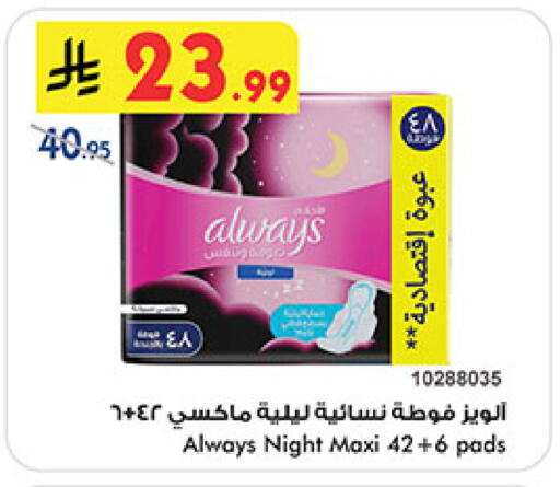 available at بن داود in مملكة العربية السعودية, السعودية, سعودية - المدينة المنورة
