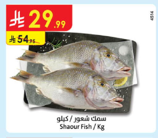 available at الدانوب in مملكة العربية السعودية, السعودية, سعودية - بريدة