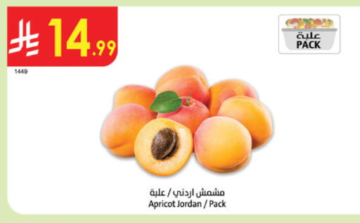 Apricot from Jordan available at الدانوب in مملكة العربية السعودية, السعودية, سعودية - عنيزة