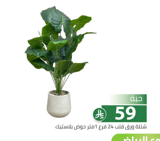 available at تخفيضات العائلة in مملكة العربية السعودية, السعودية, سعودية - الرياض