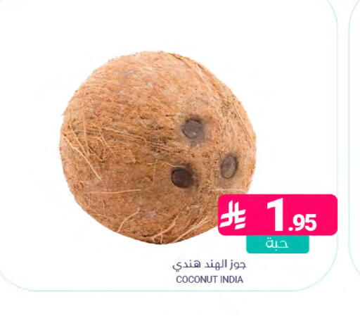 Coconut from India available at اسواق المنتزه in مملكة العربية السعودية, السعودية, سعودية - سيهات
