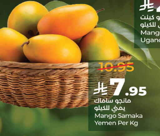 Mango from Uganda Yemen available at لولو هايبرماركت in مملكة العربية السعودية, السعودية, سعودية - عنيزة