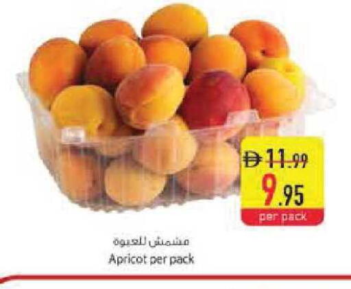 Apricot available at السفير ماركت in الإمارات العربية المتحدة , الامارات - رَأْس ٱلْخَيْمَة
