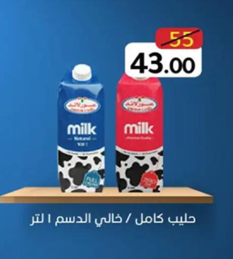 available at وكالة المنصورة - الدقهلية‎ in Egypt - القاهرة
