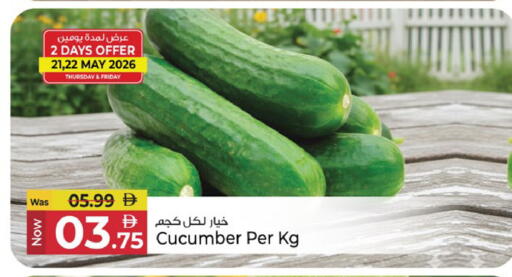 Cucumber available at Kenz Hypermarket in UAE - Sharjah / Ajman