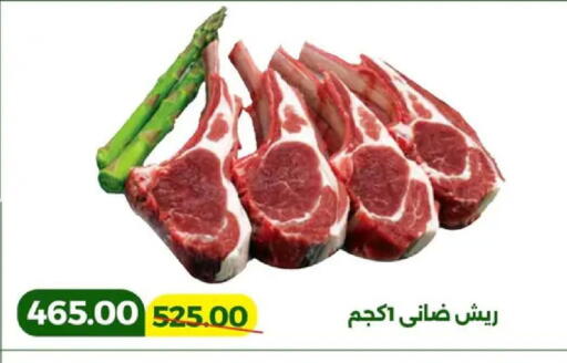 available at جرين تري هايبرماركت - سوهاج in Egypt - القاهرة