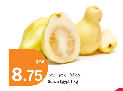 Guava from Egypt available at سيتي هايبرماركت in قطر - أم صلال