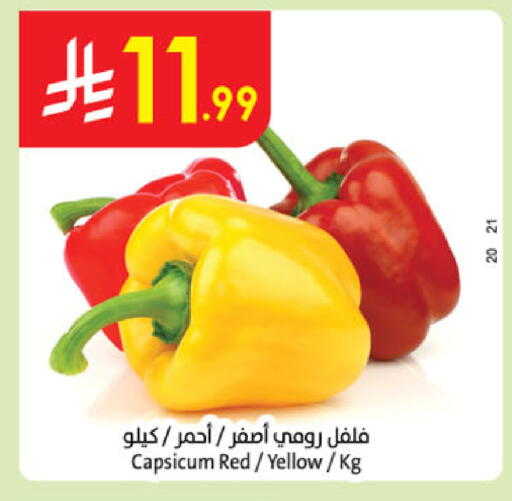 Capsicum available at الدانوب in مملكة العربية السعودية, السعودية, سعودية - المدينة المنورة
