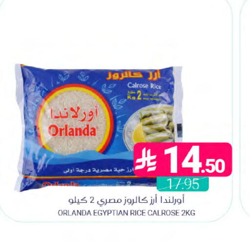 available at Muntazah Markets in KSA, Saudi Arabia, Saudi - Saihat